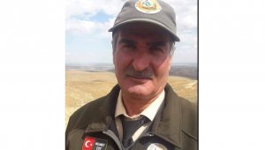 Orman memuru korona virüse yenik düştü