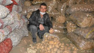 Patates depolarda alıcı bekliyor