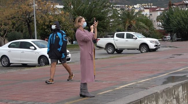 Pelikanları görenler cep telefonuna sarıldı