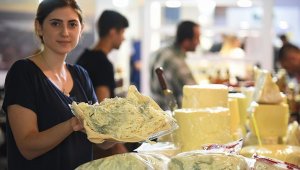 Peynir için online atölye