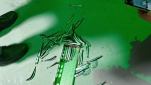 Rize'de 21 ton hamsiye el konuldu