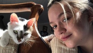 Sahipli kediyi havalı tüfekle vurdular