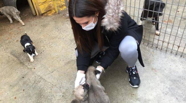 Sahipsiz hayvanlara mama desteği sürüyor