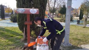 Serdivan Belediyesi, sokak hayvanlarını yalnız bırakmadı