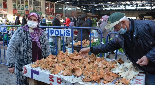 Sinop'ta kanlıca pazara indi