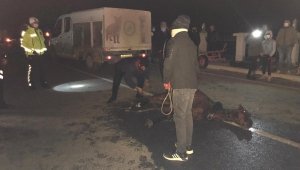 Soğukta saatlerce tedavi edilmeyi bekledi