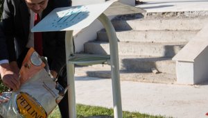 Sokağa çıkma kısıtlamasında sokak hayvanları unutulmadı