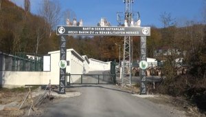 Sokak hayvanları için otel konforunda geçici bakım merkezi