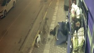 Sokak köpekleri böyle saldırdı