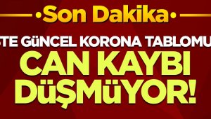 Son 24 saatte korona virüsten 241 kişi hayatını kaybetti