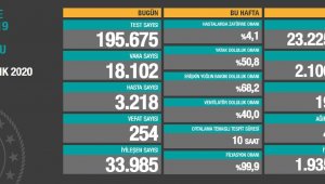 Son 24 saatte korona virüsten 254 kişi hayatını kaybetti