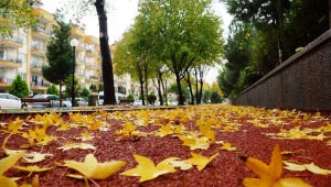 Sonbahara veda edemeyen şehir, sarıya büründü