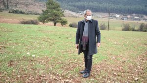 Tarsus'ta 'ata tohumu' projesi toprakta hayat buldu