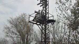 Trafo üzerinde yanmış halde bulundu
