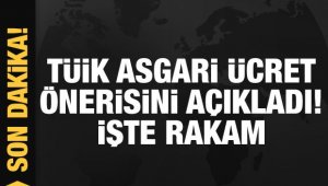 TÜİK asgari ücret önerisini açıkladı