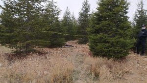 Üniversite kampüsünde erkek cesedi bulundu