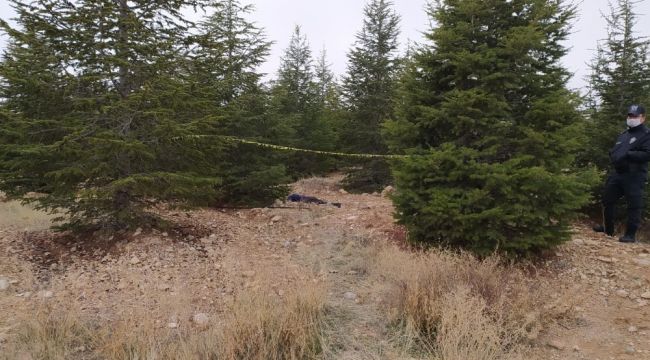 Üniversite kampüsünde erkek cesedi bulundu