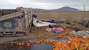 Virajı alamayan kamyon şarampole uçtu: 2 ölü, 2 yaralı