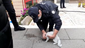 Yangında mahsur kalan yavru kedi kurtarıldı