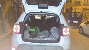 Yaralı köpekler tedavi için İstanbul'a gönderildi