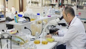 Yeni bir tür toprak bakterisi keşfedildi