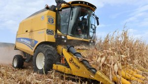 Yolsuzluğun faturası müdüre kesildi