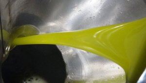 Zeytinyağı alırken meyve kokusuna dikkat edin