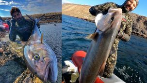 1.5 metrelik akya avladı