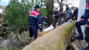 10 aylık bebek koronadan öldü