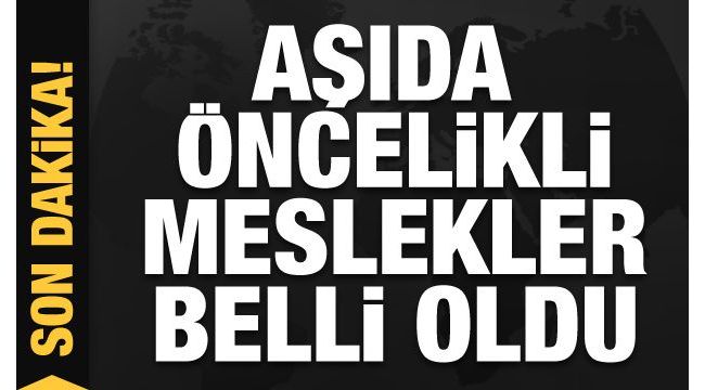 Aşı uygulanacak öncelikli grup ve meslekler belli oldu!