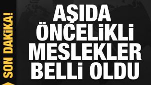 Aşı uygulanacak öncelikli grup ve meslekler belli oldu!