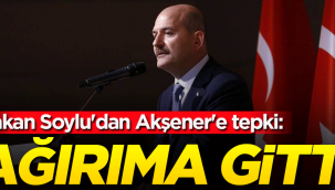 Bakan Soylu, Akşener'e tepki gösterdi