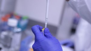 Bakan Varank'tan Türk aşısı müjdesi