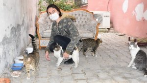 Berrak, 50 kedi ve 15 köpeğe sahip çıktı