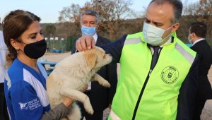 Bursa'nın emekli hayvanlar çiftliği