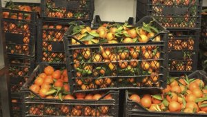 Büyükşehir'den vatandaşlara vitamin desteği