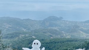 Datça'nın yüksek kesimlerine kar yağdı