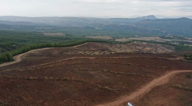 Denizli'de endüstriyel plantasyon sahası hazırlığı başladı