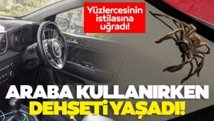 Direksiyonda dehşet anları