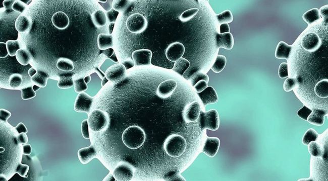 Dünya genelinde korona virüs vaka sayısı 100 milyonu geçti