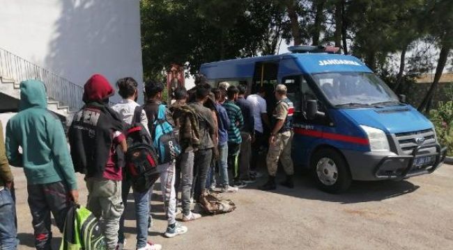 Göçmen kaçakçılığı operasyonu: 92 gözaltı kararı