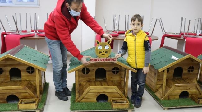 Gönüllüler sokak hayvanlarına ahşaptan ev yaptılar