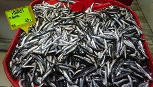 Hamsi fiyatları 45 lira oldu