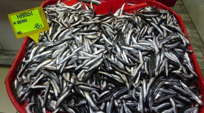 Hamsi fiyatları 45 lira oldu