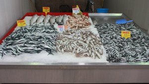 Hamsi yasağına 'buzhane' çözümü