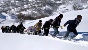 Hasta kadın kızakla 20 kilometre taşındı