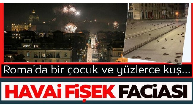 Havai fişekler yüzlerce kuşun ölümüne neden oldu