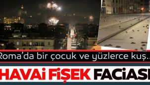 Havai fişekler yüzlerce kuşun ölümüne neden oldu