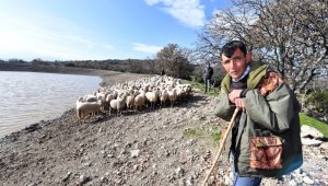 İçme suyu göletleri geldi, hayvancılık yeniden canlandı