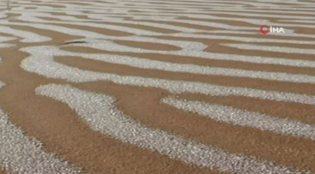 İklimler alt-üst! Çöle kar yağdı